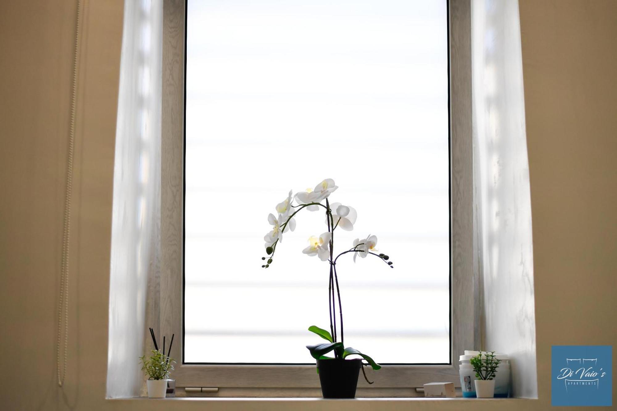 Di Vaio'S Apartments Наполи Екстериор снимка
